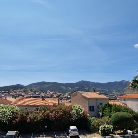 Banyuls-Sur-Mer: T2 Avec Terrasse Couverte Et Parking Privatif - Fr-1-309-146 Zewnętrze zdjęcie